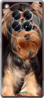Силиконовый чехол Йоркширский терьер для Infinix Zero 40 5G - 929u-3822 изображение 