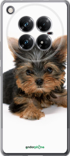 Силиконовый чехол Щенок йоркширского терьера для Infinix Zero 40 5G - 931u-3822 изображение 