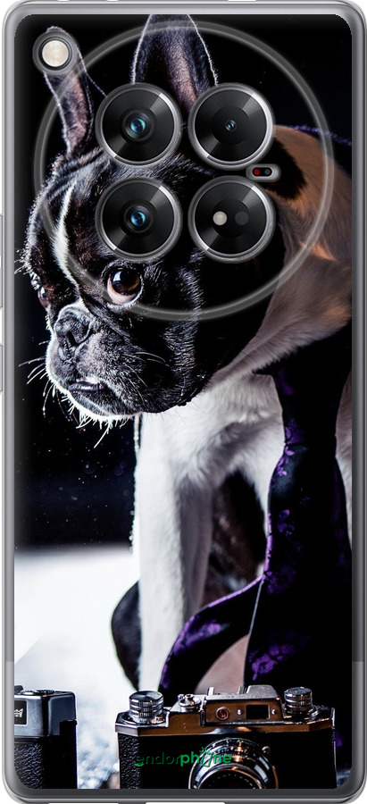 Силиконовый чехол Бульдог-фотограф для Infinix Zero 40 5G - 142u-3822 изображение 