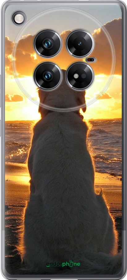 Силиконовый чехол Закат и собака для Infinix Zero 40 5G - 3966u-3822 изображение 
