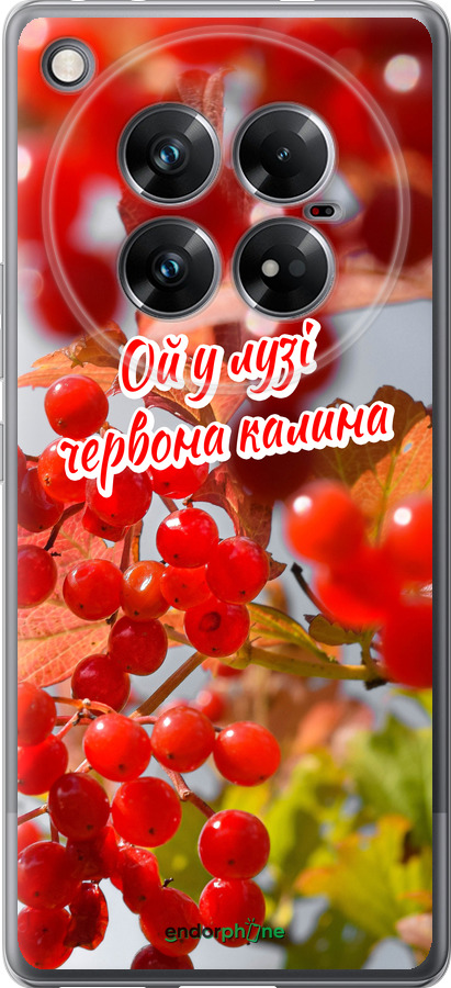 Силиконовый чехол Калина для Infinix Zero 40 5G - 5454u-3822 изображение 