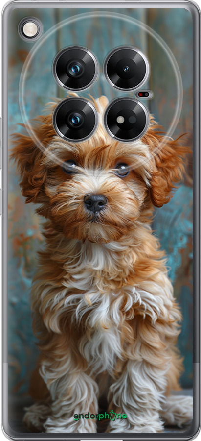 Силиконовый чехол Щенок мальтипу для Infinix Zero 40 5G - 6157u-3822 изображение 