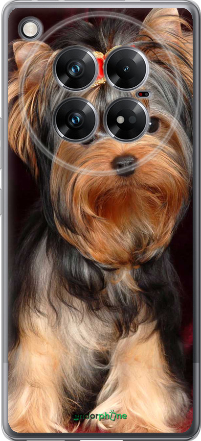 Силиконовый чехол Йоркширский терьер для Infinix Zero 40 5G - 929u-3822 изображение 