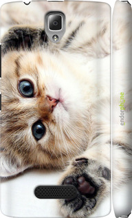 3D пластиковий матовий чехол Котик для Lenovo A2010 - 6024m-216 изображение 