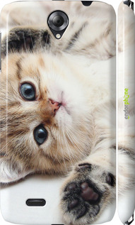 3D пластиковый глянцевый чехол Котик для Lenovo A850 - 6024c-79 изображение 