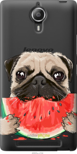Силиконовый чехол Мопс и арбуз для Lenovo P90 - 4665u-234 изображение 