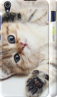 3D пластиковый матовый чехол Котик для Lenovo S850 - 6024m-78 изображение 
