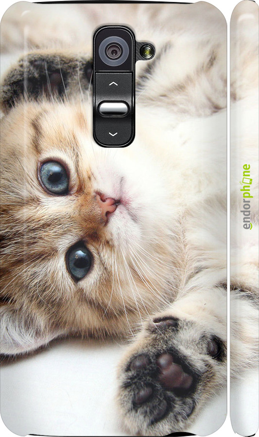 3D пластиковий глянцевий чехол Котик для LG G2 - 6024c-37 изображение 
