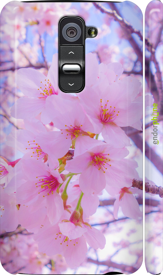 3D пластиковий глянцевий чехол Сакура для LG G2 - 6029c-37 изображение 