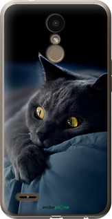 Силиконовый чехол Дымчатый кот для LG K10 2018 - 825u-1382 изображение 