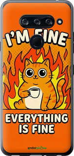 2D пластиковый чехол Funny Cat для LG V40 ThinQ - 6786t-1577 изображение 