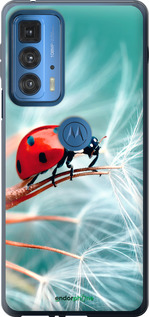 Силиконовый чехол Божья коровка для Motorola Edge 20 Pro - 6049u-2662 изображение 