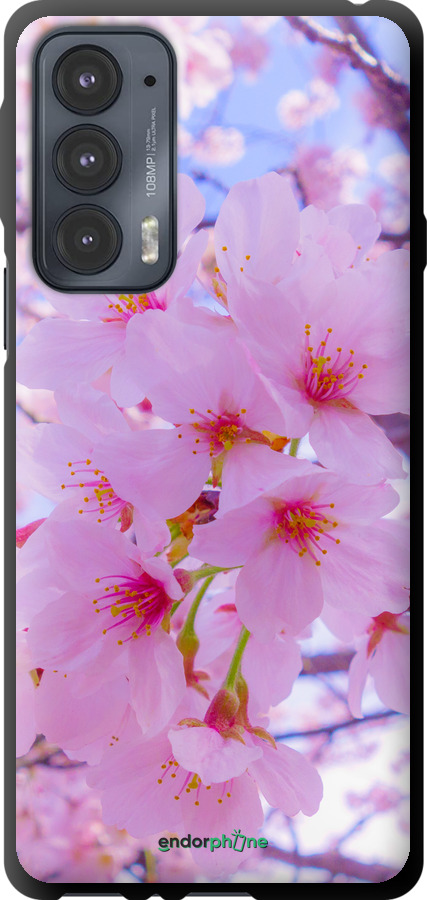 TPU чехол Сакура для Motorola Edge 20 - 6029b-2497 изображение 