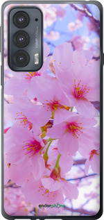 Силиконовый чехол Сакура для Motorola Edge 20 - 6029u-2497 изображение 