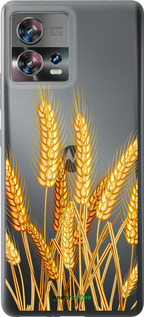 Силиконовый чехол Колоски пшеници для Motorola Edge 30 Fusion 5G - 5866u-3198 изображение 