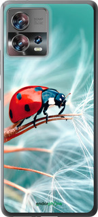 Силіконовий чехол Сонечко для Motorola Edge 30 Fusion 5G - 6049u-3198 изображение 