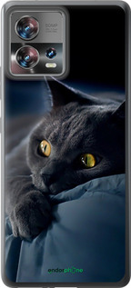 Силіконовий чохол 'Димчастий кіт' для Motorola Edge 30 Fusion 5G -  зображення 2