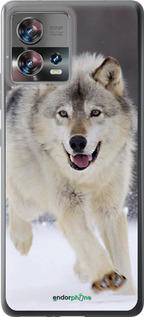 Силиконовый чехол Бегущий волк для Motorola Edge 30 Fusion 5G - 826u-3198 изображение 