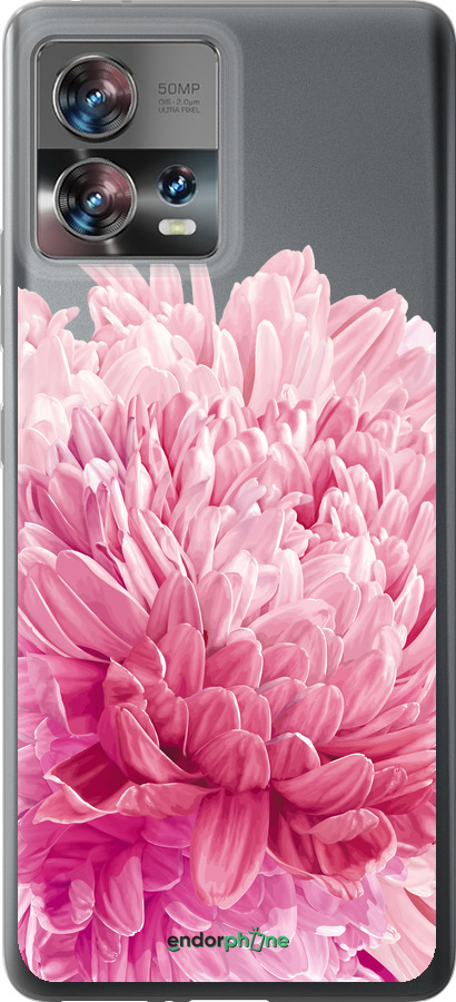Силиконовый чехол Хризантема для Motorola Edge 30 Fusion 5G - 4666u-3198 изображение 