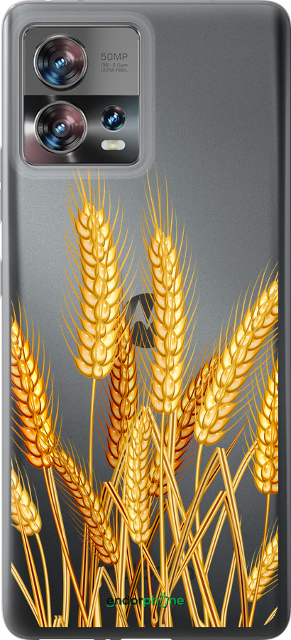 Силиконовый чехол Колоски пшеници для Motorola Edge 30 Fusion 5G - 5866u-3198 изображение 