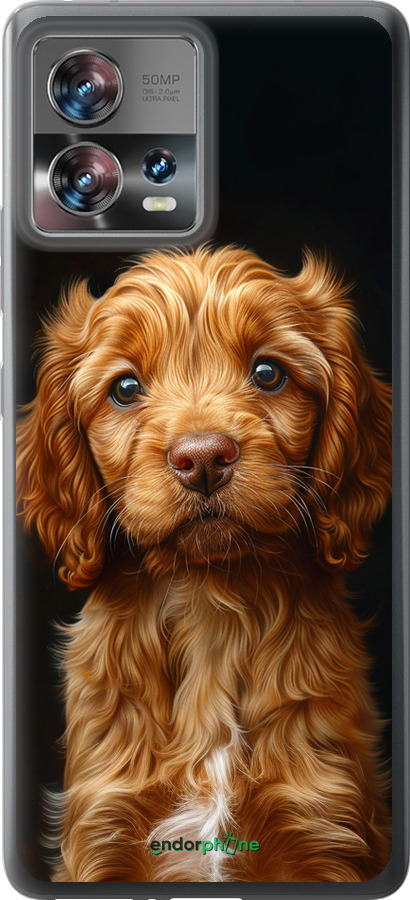 Силиконовый чехол Cocker spaniel на черном фоне для Motorola Edge 30 Fusion 5G - 6137u-3198 изображение 