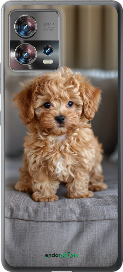 Силиконовый чехол Mini-maltipoo для Motorola Edge 30 Fusion 5G - 6158u-3198 изображение 