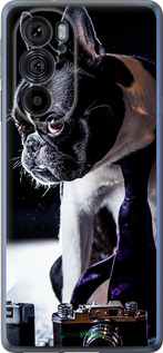 Силиконовый чехол Бульдог-фотограф для Motorola Edge 30 Pro - 142u-2826 изображение 