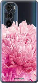 Силиконовый чехол Хризантема для Motorola Edge 30 Pro - 4666u-2826 изображение 