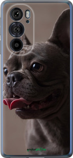 Силиконовый чехол Милый бульдог для Motorola Edge 30 Pro - 5546u-2826 изображение 