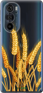 Силиконовый чехол Колоски пшеници для Motorola Edge 30 Pro - 5866u-2826 изображение 