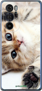 Силіконовий чехол Котик для Motorola Edge 30 Pro - 6024u-2826 изображение 