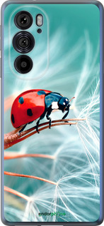 Силиконовый чехол Божья коровка для Motorola Edge 30 Pro - 6049u-2826 изображение 