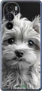 Силиконовый чехол Мальтипу на чорном фоне для Motorola Edge 30 Pro - 6156u-2826 изображение 