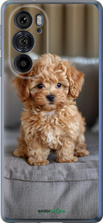 Силиконовый чехол Mini-maltipoo для Motorola Edge 30 Pro - 6158u-2826 изображение 