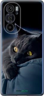 Силиконовый чехол 'Дымчатый кот' для Motorola Edge 30 Pro изображение 2