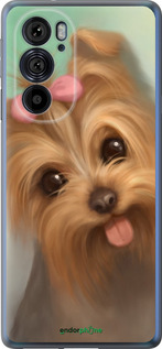 Силиконовый чехол Нарисованный йоркширский терьер для Motorola Edge 30 Pro - 928u-2826 изображение 
