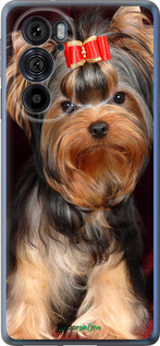 Силиконовый чехол Йоркширский терьер для Motorola Edge 30 Pro - 929u-2826 изображение 