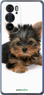 Силиконовый чехол Щенок йоркширского терьера для Motorola Edge 30 Pro - 931u-2826 изображение 
