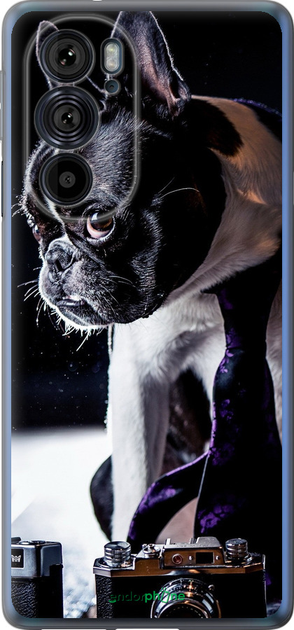 Силиконовый чехол Бульдог-фотограф для Motorola Edge 30 Pro - 142u-2826 изображение 
