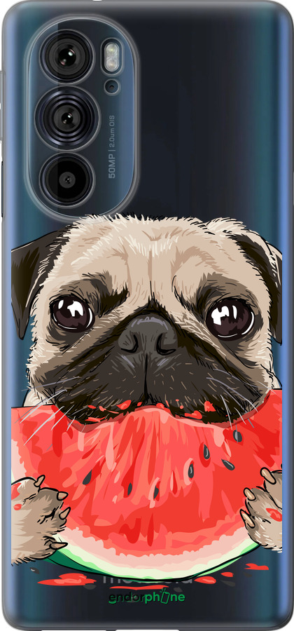 Силиконовый чехол Мопс и арбуз для Motorola Edge 30 Pro - 4665u-2826 изображение 