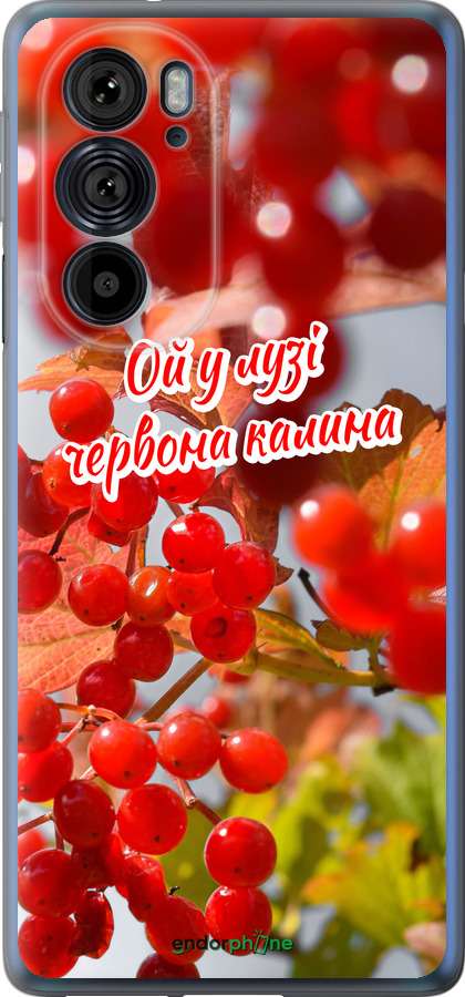 Силиконовый чехол Калина для Motorola Edge 30 Pro - 5454u-2826 изображение 