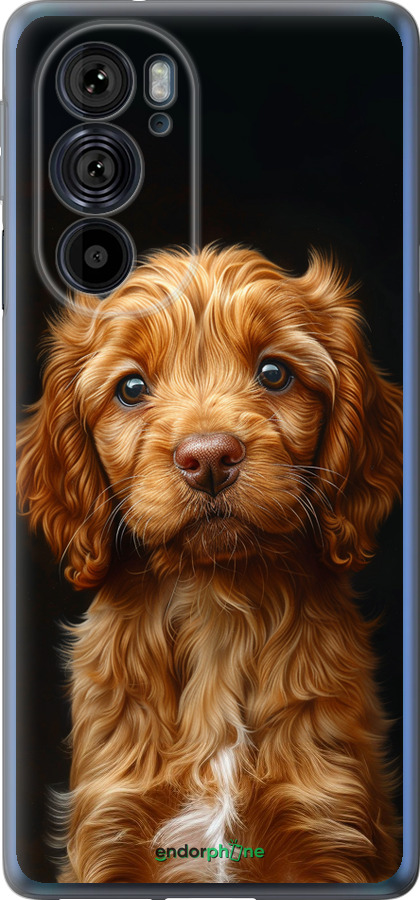 Силиконовый чехол Cocker spaniel на черном фоне для Motorola Edge 30 Pro - 6137u-2826 изображение 