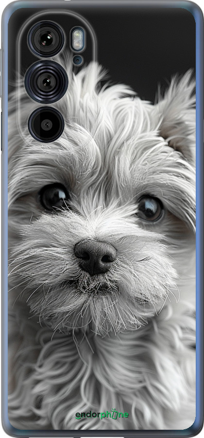 Силиконовый чехол Мальтипу на чорном фоне для Motorola Edge 30 Pro - 6156u-2826 изображение 