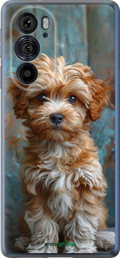 Силиконовый чехол Щенок мальтипу для Motorola Edge 30 Pro - 6157u-2826 изображение 