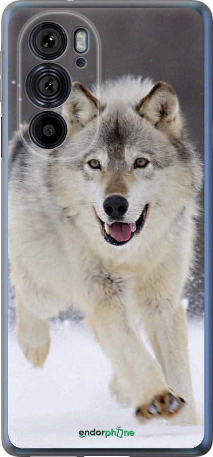 Силиконовый чехол Бегущий волк для Motorola Edge 30 Pro - 826u-2826 изображение 