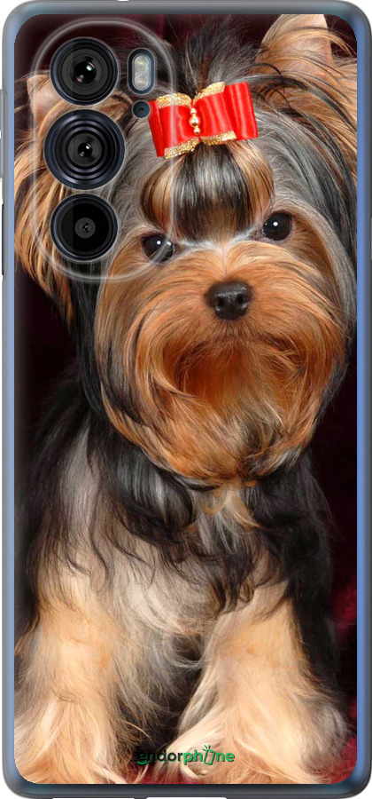 Силиконовый чехол Йоркширский терьер для Motorola Edge 30 Pro - 929u-2826 изображение 