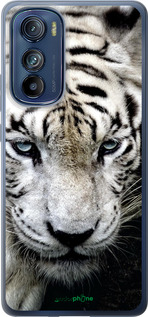 Силиконовый чехол Грустный белый тигр для Motorola Edge 30 - 106u-2840 изображение 