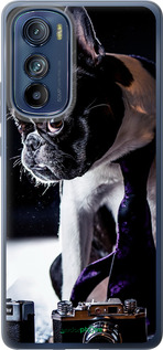 Силиконовый чехол Бульдог-фотограф для Motorola Edge 30 - 142u-2840 изображение 