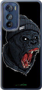 Силиконовый чехол Обезьяна в ярости для Motorola Edge 30 - 4137u-2840 изображение 