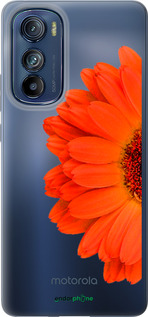 Силіконовий чехол Гербера 1 для Motorola Edge 30 - 4534u-2840 изображение 